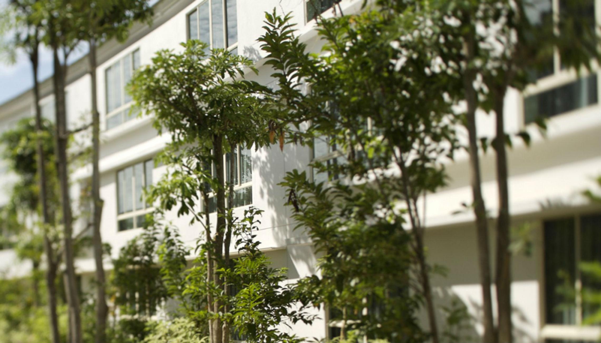 Amara Sanctuary Resort Sentosa Singapore Buitenkant foto